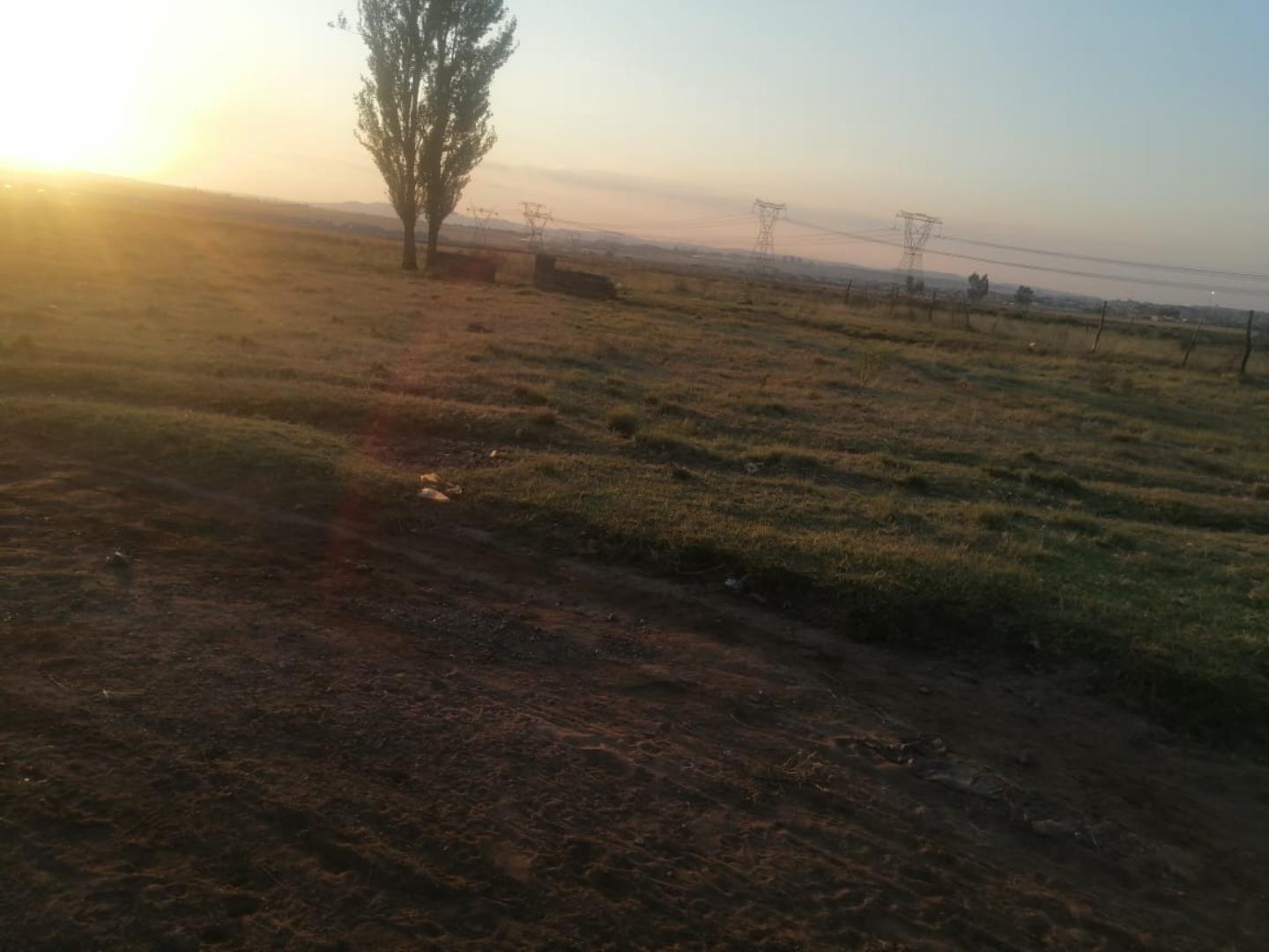 559105_WhatsApp